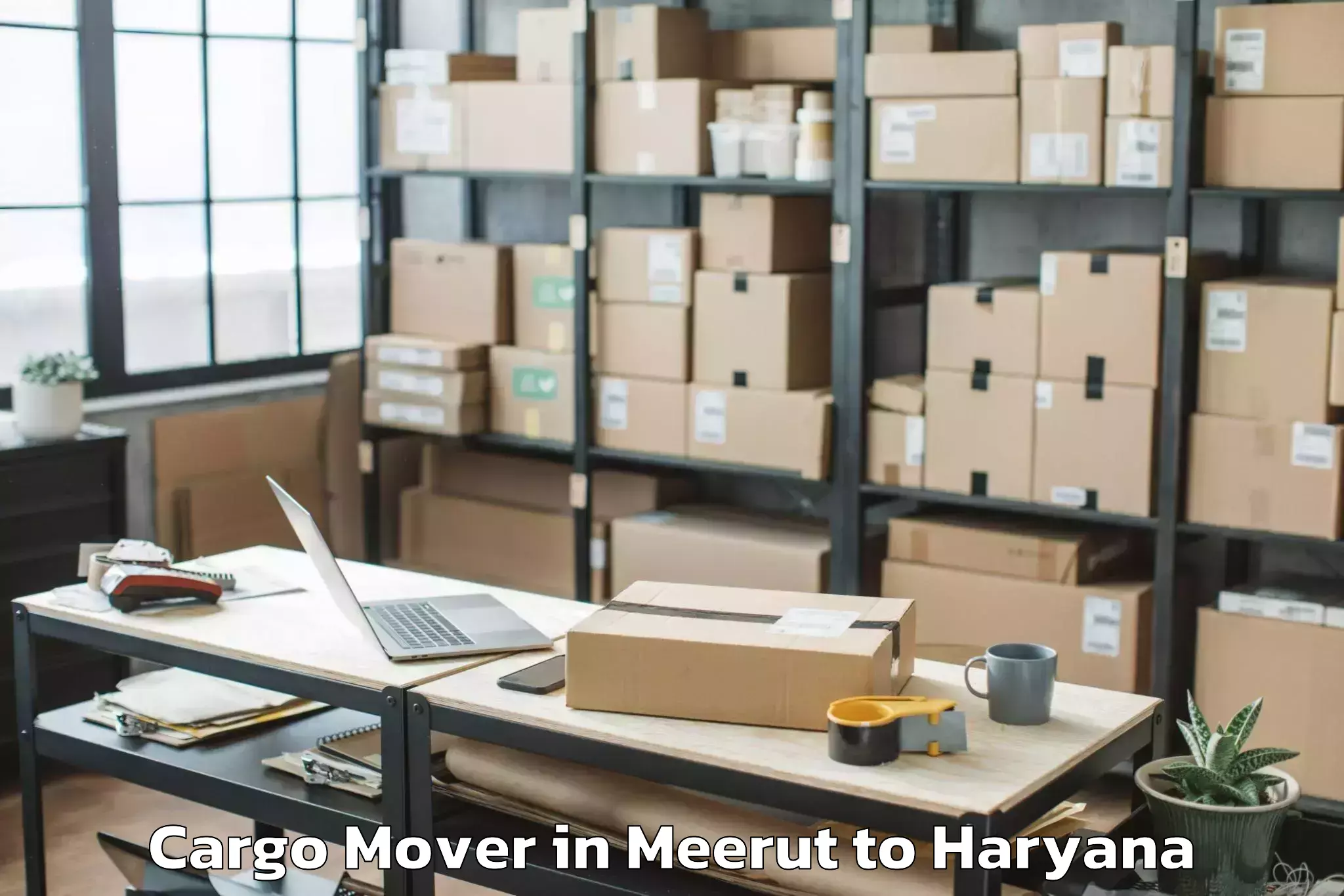 Book Meerut to Hansi Cargo Mover Online